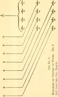 An illustration from School tactics and maze running (1916)