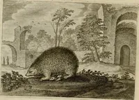 An illustration from Emblemata Florentii Schoonhovii I.C. Goudani, partim moralia, partim etiam civilia. Cum latiori eorundem ejusdem auctoris interpretatione. Accedunt et alia quaedam poëmatia in alijs poëmatum suorum libris non contenta (1618)