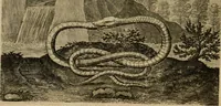 An illustration from Emblemata Florentii Schoonhovii I.C. Goudani, partim moralia, partim etiam civilia. Cum latiori eorundem ejusdem auctoris interpretatione. Accedunt et alia quaedam poëmatia in alijs poëmatum suorum libris non contenta (1618)