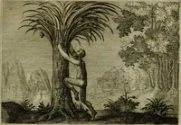 An illustration from Emblemata Florentii Schoonhovii I.C. Goudani, partim moralia, partim etiam civilia. Cum latiori eorundem ejusdem auctoris interpretatione. Accedunt et alia quaedam poëmatia in alijs poëmatum suorum libris non contenta (1618)