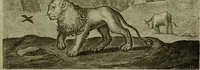 An illustration from Emblemata Florentii Schoonhovii I.C. Goudani, partim moralia, partim etiam civilia. Cum latiori eorundem ejusdem auctoris interpretatione. Accedunt et alia quaedam poëmatia in alijs poëmatum suorum libris non contenta (1618)