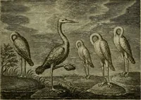 An illustration from Emblemata Florentii Schoonhovii I.C. Goudani, partim moralia, partim etiam civilia. Cum latiori eorundem ejusdem auctoris interpretatione. Accedunt et alia quaedam poëmatia in alijs poëmatum suorum libris non contenta (1618)