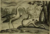 An illustration from Emblemata Florentii Schoonhovii I.C. Goudani, partim moralia, partim etiam civilia. Cum latiori eorundem ejusdem auctoris interpretatione. Accedunt et alia quaedam poëmatia in alijs poëmatum suorum libris non contenta (1618)