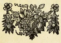 Picture 3 of 24 from Schou-burg der rupsen, wormen, ma'den, en vliegende dierkens daar uit voortkomende : door eigen ondervindinge by een gebragt (1688), leaf 9