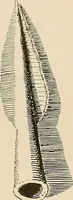 An illustration from Schule und Museum (1910)
