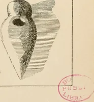 Picture 44 of 61 from Schule und Museum (1910), leaf 68