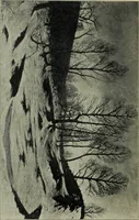 An illustration from Schwedische kunst des 19. Jahrhunderts (1904)