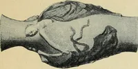 An illustration from Schwedische kunst des 19. Jahrhunderts (1904)