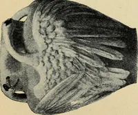 An illustration from Schwedische kunst des 19. Jahrhunderts (1904)