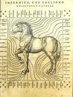 Picture 3 of 4 from Scielta di notabili avvertimenti, pertinenti a' cavalli ... : col ritratto del cavallo, oue si ueggono tutti i suoi morbi, co' medicamenti applicati a loro (1571), leaf 75