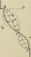 An illustration from Science and art drawing : complete geometrical course ; consisting of plane and solid geometry, orthographic and isometric projection, projection of shadow's the principles of map projection, graphic arithmetic and graphic statics (1895)