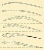 Picture 14 of 17 from Science conspectus (1910), leaf 140