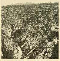 An illustration from Science conspectus (1910)
