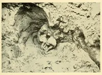 An illustration from Science conspectus (1910)