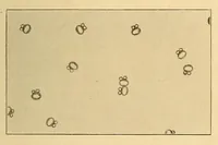 An illustration from Science conspectus (1910)