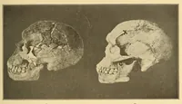 An illustration from Science conspectus (1910)