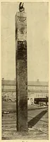 Picture 12 of 19 from Science conspectus (1910), leaf 113