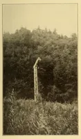 An illustration from Science conspectus (1910)