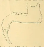 An illustration from Science conspectus (1910)