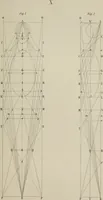 An illustration from The science of beauty, as developed in nature and applied in art (1856)