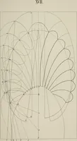 An illustration from The science of beauty, as developed in nature and applied in art (1856)