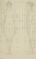 An illustration from The science of beauty, as developed in nature and applied in art (1856)