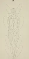An illustration from The science of beauty, as developed in nature and applied in art (1856)