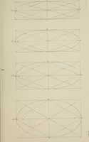 An illustration from The science of beauty, as developed in nature and applied in art (1856)