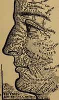 An illustration from The science of palmistry and its relations to astrology and phrenology (1901)