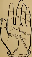 An illustration from The science of palmistry and its relations to astrology and phrenology (1901)