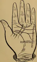 An illustration from The science of palmistry and its relations to astrology and phrenology (1901)