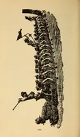 Picture 10 of 18 from The science of railways (1904), leaf 360