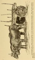 Picture 16 of 18 from The science of railways (1904), leaf 483