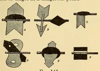 Picture 9 of 18 from The science of railways (1904), leaf 243