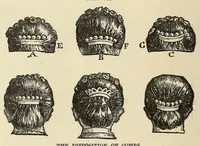 An illustration from The science of taste: being a treatise on its principles (1879)