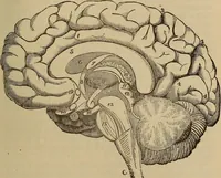 Picture 9 of 10 from Science and religion (1905), leaf 208