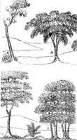 An illustration from Scientific American, Vol. 2, No. 44 (July 1847) (1847)