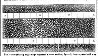 An illustration from Scientific American, Vol. 6, No. 50 (August 1851) (1851)