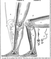 An illustration from Scientific American, Vol. 8, No. 48 (August 1853) (1853)