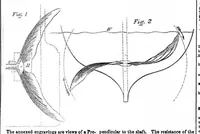 An illustration from Scientific American, Vol. 9, No. 48 (August 1854) (1854)
