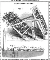 Picture 1 of 4 from Scientific American, Vol. 9, No. 51 (September 1854) (1854), leaf 0