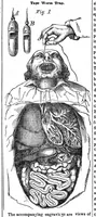 An illustration from Scientific American, Vol. 10, No. 48 (August 1855) (1855)