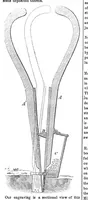 An illustration from Scientific American, Vol. 11, No. 30 (April 1856) (1856)