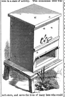 An illustration from Scientific American, Vol. 1, No. 8 (August 1859) (1859)
