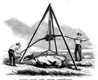 An illustration from Scientific American, Vol. 3, No. 7 (August 1860) (1860)