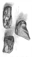 An illustration from Scientific American, Vol. 4b, No. 20 (May 1861) (1861)
