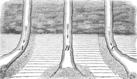 An illustration from Scientific American, Vol. 5, No. 15 (October 1861) (1861)
