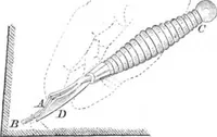 An illustration from Scientific American, Vol. 5, No. 19 (November 1861) (1861)