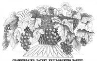 An illustration from Scientific American, Vol. 5, No. 22 (November 1861) (1861)