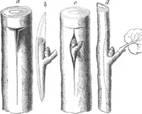An illustration from Scientific American, Vol. 6, No. 10 (March 1862) (1862)